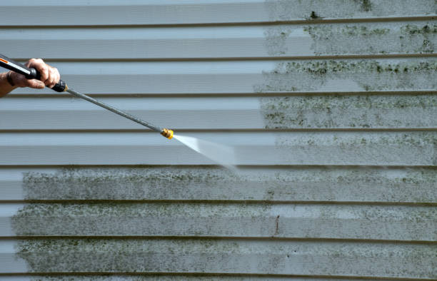 Best Driveway Pressure Washing  in Homer, IL